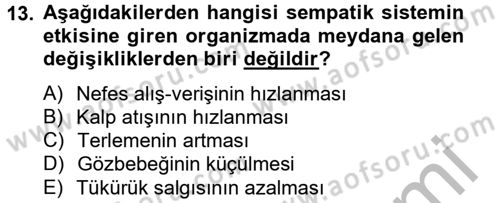 İş ve Yaşamda Motivasyon Dersi 2012 - 2013 Yılı (Vize) Ara Sınav Soruları 13. Soru