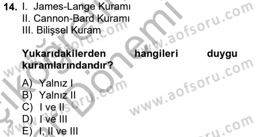 İş ve Yaşamda Motivasyon Dersi 2012 - 2013 Yılı (Vize) Ara Sınav Soruları 14. Soru