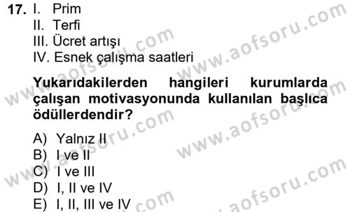 İş ve Yaşamda Motivasyon Dersi 2012 - 2013 Yılı (Final) Dönem Sonu Sınav Soruları 17. Soru