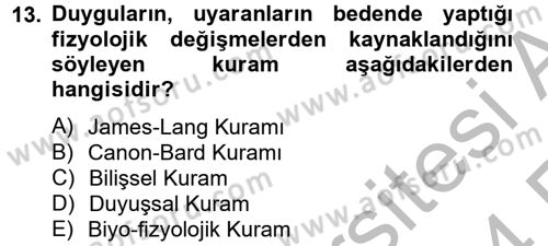 İş ve Yaşamda Motivasyon Dersi 2013 - 2014 Yılı (Vize) Ara Sınav Soruları 13. Soru