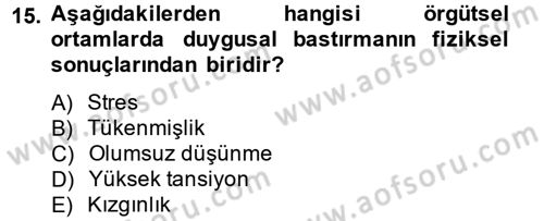 İş ve Yaşamda Motivasyon Dersi 2013 - 2014 Yılı (Vize) Ara Sınav Soruları 15. Soru