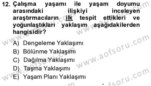 İş ve Yaşamda Motivasyon Dersi 2013 - 2014 Yılı Tek Ders Sınav Soruları 12. Soru