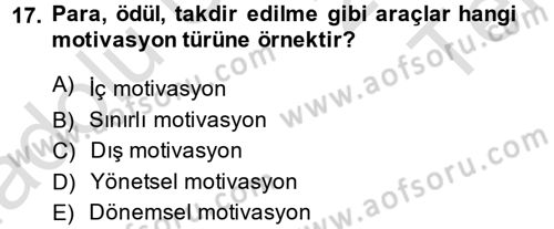 İş ve Yaşamda Motivasyon Dersi 2013 - 2014 Yılı Tek Ders Sınav Soruları 17. Soru