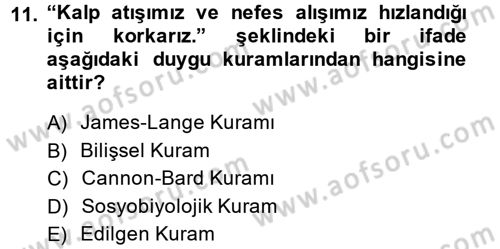İş ve Yaşamda Motivasyon Dersi 2014 - 2015 Yılı (Vize) Ara Sınav Soruları 11. Soru