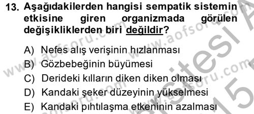 İş ve Yaşamda Motivasyon Dersi 2014 - 2015 Yılı (Vize) Ara Sınav Soruları 13. Soru