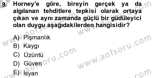 İş ve Yaşamda Motivasyon Dersi 2014 - 2015 Yılı (Vize) Ara Sınav Soruları 9. Soru