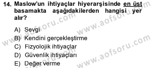 İş ve Yaşamda Motivasyon Dersi 2014 - 2015 Yılı Tek Ders Sınav Soruları 14. Soru