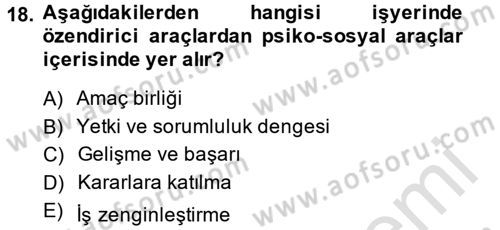 İş ve Yaşamda Motivasyon Dersi 2014 - 2015 Yılı Tek Ders Sınav Soruları 18. Soru