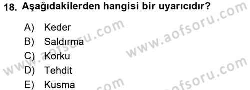 İş ve Yaşamda Motivasyon Dersi 2015 - 2016 Yılı (Vize) Ara Sınav Soruları 18. Soru