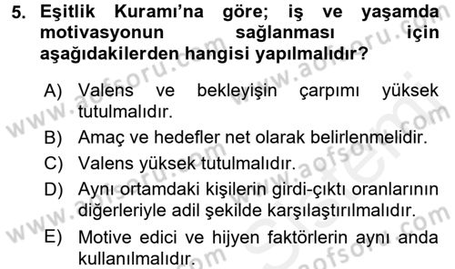 İş ve Yaşamda Motivasyon Dersi 2015 - 2016 Yılı (Vize) Ara Sınav Soruları 5. Soru