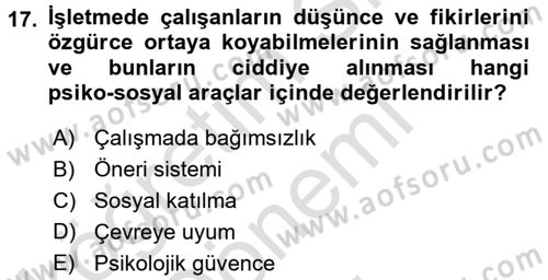 İş ve Yaşamda Motivasyon Dersi 2015 - 2016 Yılı (Final) Dönem Sonu Sınav Soruları 17. Soru