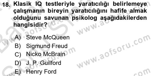 İş ve Yaşamda Motivasyon Dersi 2015 - 2016 Yılı (Final) Dönem Sonu Sınav Soruları 18. Soru