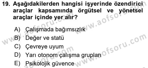 İş ve Yaşamda Motivasyon Dersi 2015 - 2016 Yılı (Final) Dönem Sonu Sınav Soruları 19. Soru