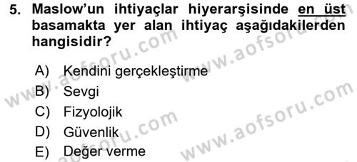 İş ve Yaşamda Motivasyon Dersi 2015 - 2016 Yılı (Final) Dönem Sonu Sınav Soruları 5. Soru