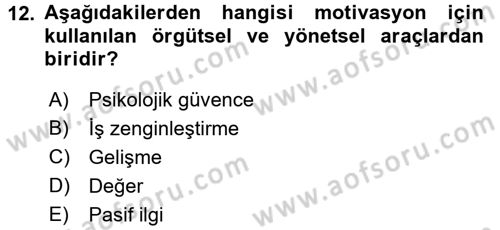 İş ve Yaşamda Motivasyon Dersi 2015 - 2016 Yılı Tek Ders Sınav Soruları 12. Soru