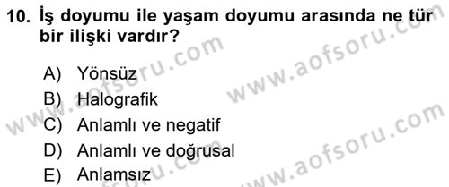 İş ve Yaşamda Motivasyon Dersi 2016 - 2017 Yılı 3 Ders Sınav Soruları 10. Soru