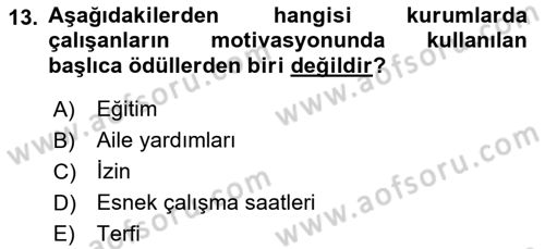 İş ve Yaşamda Motivasyon Dersi 2016 - 2017 Yılı 3 Ders Sınav Soruları 13. Soru
