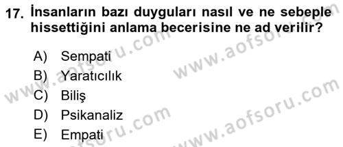 İş ve Yaşamda Motivasyon Dersi 2016 - 2017 Yılı 3 Ders Sınav Soruları 17. Soru