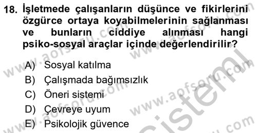 İş ve Yaşamda Motivasyon Dersi 2016 - 2017 Yılı 3 Ders Sınav Soruları 18. Soru