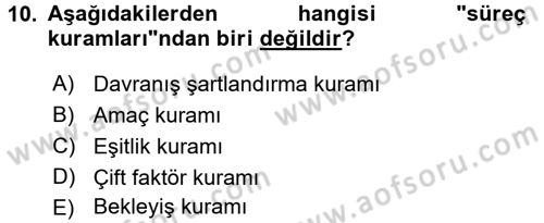 İş ve Yaşamda Motivasyon Dersi 2016 - 2017 Yılı (Vize) Ara Sınav Soruları 10. Soru