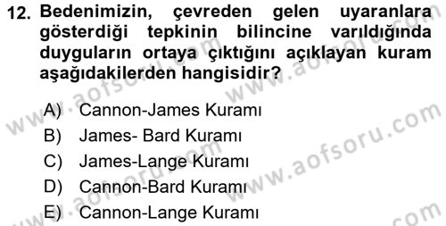 İş ve Yaşamda Motivasyon Dersi 2016 - 2017 Yılı (Vize) Ara Sınav Soruları 12. Soru