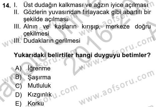 İş ve Yaşamda Motivasyon Dersi 2016 - 2017 Yılı (Vize) Ara Sınav Soruları 14. Soru