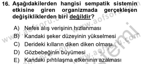 İş ve Yaşamda Motivasyon Dersi 2016 - 2017 Yılı (Vize) Ara Sınav Soruları 16. Soru