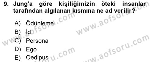 İş ve Yaşamda Motivasyon Dersi 2016 - 2017 Yılı (Vize) Ara Sınav Soruları 9. Soru