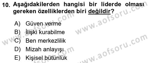 İş ve Yaşamda Motivasyon Dersi 2016 - 2017 Yılı (Final) Dönem Sonu Sınav Soruları 10. Soru