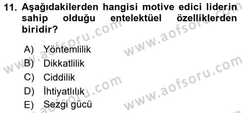 İş ve Yaşamda Motivasyon Dersi 2016 - 2017 Yılı (Final) Dönem Sonu Sınav Soruları 11. Soru