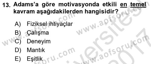 İş ve Yaşamda Motivasyon Dersi 2016 - 2017 Yılı (Final) Dönem Sonu Sınav Soruları 13. Soru