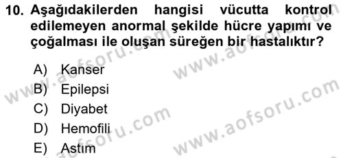 Bakıma Gereksinimi Olan Engelli Bireyler 1 Dersi 2018 - 2019 Yılı (Final) Dönem Sonu Sınav Soruları 10. Soru