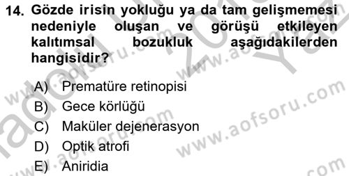 Bakıma Gereksinimi Olan Engelli Bireyler 1 Dersi 2018 - 2019 Yılı Yaz Okulu Sınav Soruları 14. Soru