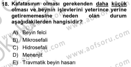 Bakıma Gereksinimi Olan Engelli Bireyler 1 Dersi 2018 - 2019 Yılı Yaz Okulu Sınav Soruları 18. Soru