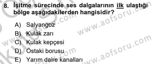 Bakıma Gereksinimi Olan Engelli Bireyler 1 Dersi 2018 - 2019 Yılı Yaz Okulu Sınav Soruları 8. Soru