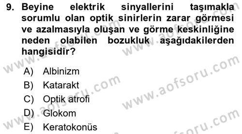 Bakıma Gereksinimi Olan Engelli Bireyler 1 Dersi 2020 - 2021 Yılı Yaz Okulu Sınav Soruları 9. Soru