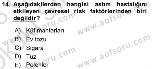 Bakıma Gereksinimi Olan Engelli Bireyler 1 Dersi 2022 - 2023 Yılı Yaz Okulu Sınav Soruları 14. Soru