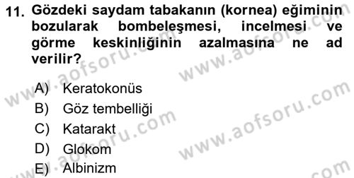 Bakıma Gereksinimi Olan Engelli Bireyler 1 Dersi 2023 - 2024 Yılı (Final) Dönem Sonu Sınav Soruları 11. Soru