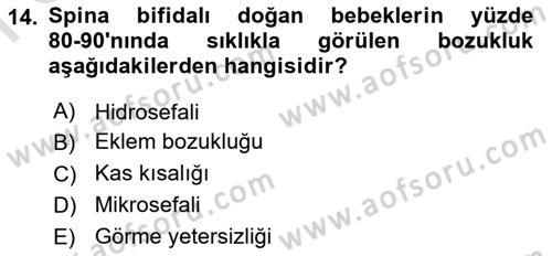 Bakıma Gereksinimi Olan Engelli Bireyler 1 Dersi 2023 - 2024 Yılı (Final) Dönem Sonu Sınav Soruları 14. Soru