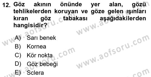 Bakıma Gereksinimi Olan Engelli Bireyler 1 Dersi 2023 - 2024 Yılı Yaz Okulu Sınavı 12. Soru