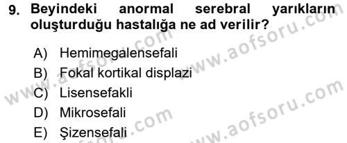 Bakıma Gereksinimi Olan Engelli Bireyler 2 Dersi 2017 - 2018 Yılı (Final) Dönem Sonu Sınav Soruları 9. Soru