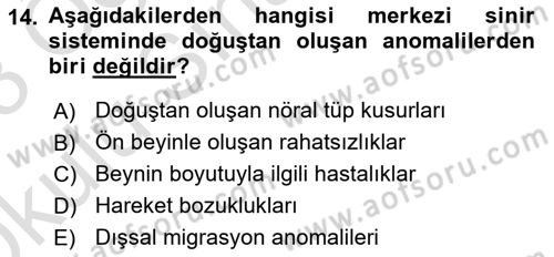 Bakıma Gereksinimi Olan Engelli Bireyler 2 Dersi 2022 - 2023 Yılı Yaz Okulu Sınav Soruları 14. Soru