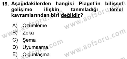Bakıma Gereksinimi Olan Engelli Bireyler 2 Dersi 2022 - 2023 Yılı Yaz Okulu Sınav Soruları 19. Soru