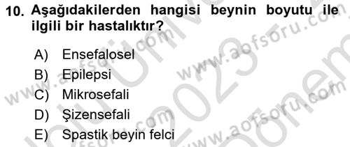 Bakıma Gereksinimi Olan Engelli Bireyler 2 Dersi 2023 - 2024 Yılı (Final) Dönem Sonu Sınav Soruları 10. Soru