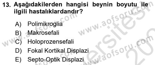 Bakıma Gereksinimi Olan Engelli Bireyler 2 Dersi 2025 - 2026 Yılı (Final) Dönem Sonu Sınav Soruları 13. Soru