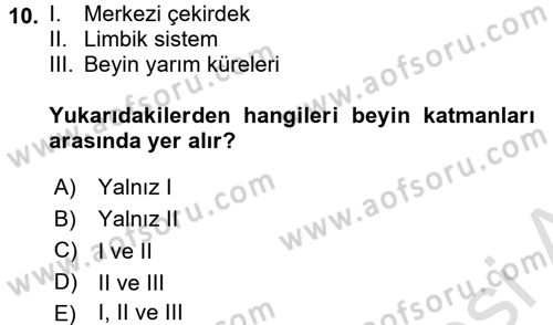 Engelli Psikolojisi Dersi 2017 - 2018 Yılı (Vize) Ara Sınav Soruları 10. Soru