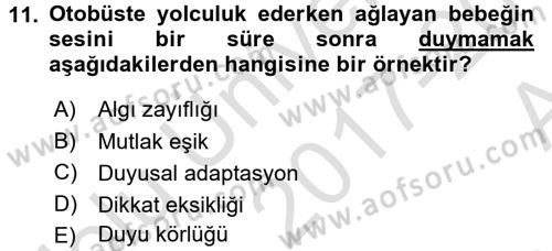 Engelli Psikolojisi Dersi 2017 - 2018 Yılı (Vize) Ara Sınav Soruları 11. Soru