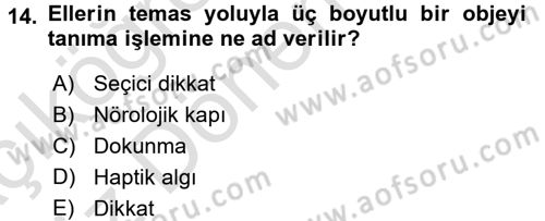 Engelli Psikolojisi Dersi 2017 - 2018 Yılı (Vize) Ara Sınav Soruları 14. Soru