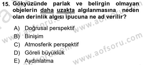 Engelli Psikolojisi Dersi 2017 - 2018 Yılı (Vize) Ara Sınav Soruları 15. Soru