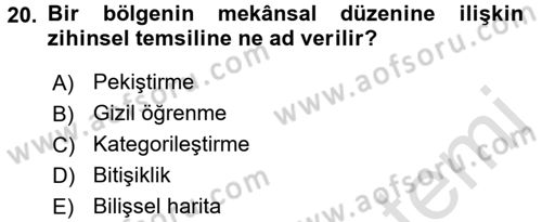 Engelli Psikolojisi Dersi 2017 - 2018 Yılı (Vize) Ara Sınav Soruları 20. Soru